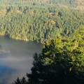 Exploring the Best Hiking Trails in Victoria BC