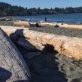 Discover the Best Beaches in Victoria BC