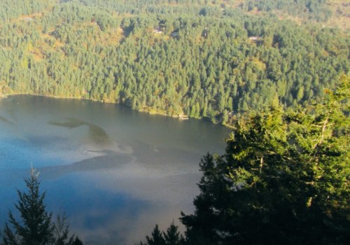 Exploring the Best Hiking Trails in Victoria BC