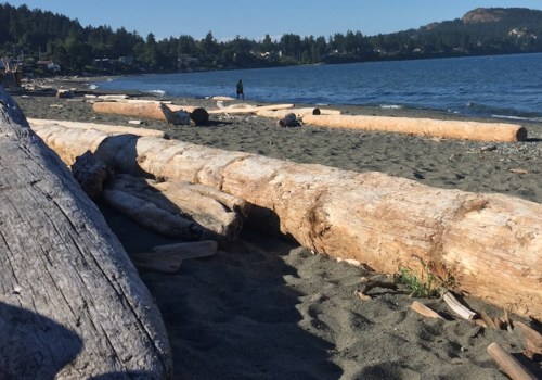 Discover the Best Beaches in Victoria BC